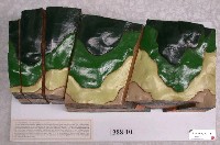 藏品(斷層破碎模型)的圖片